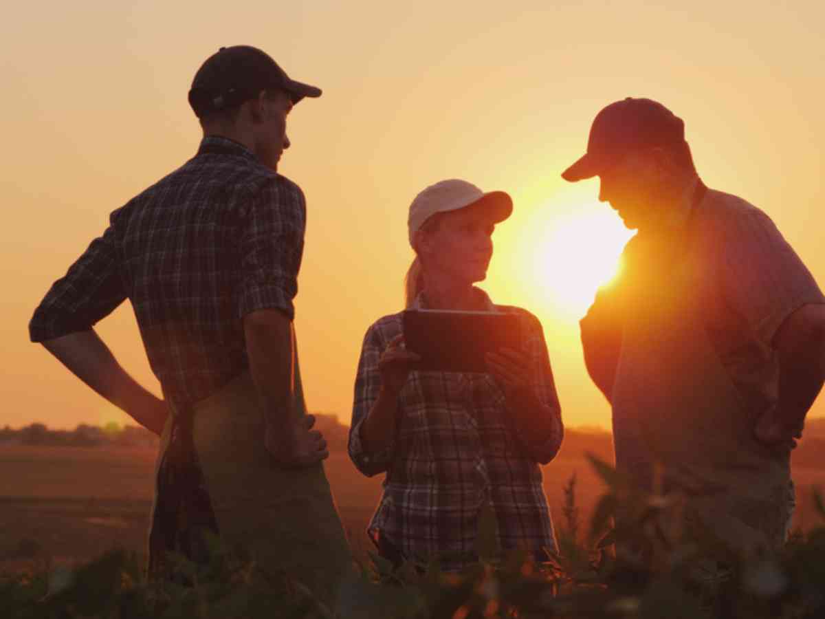 Trust Distribution concept image | Three family members stand together in a farm field discussing the business.