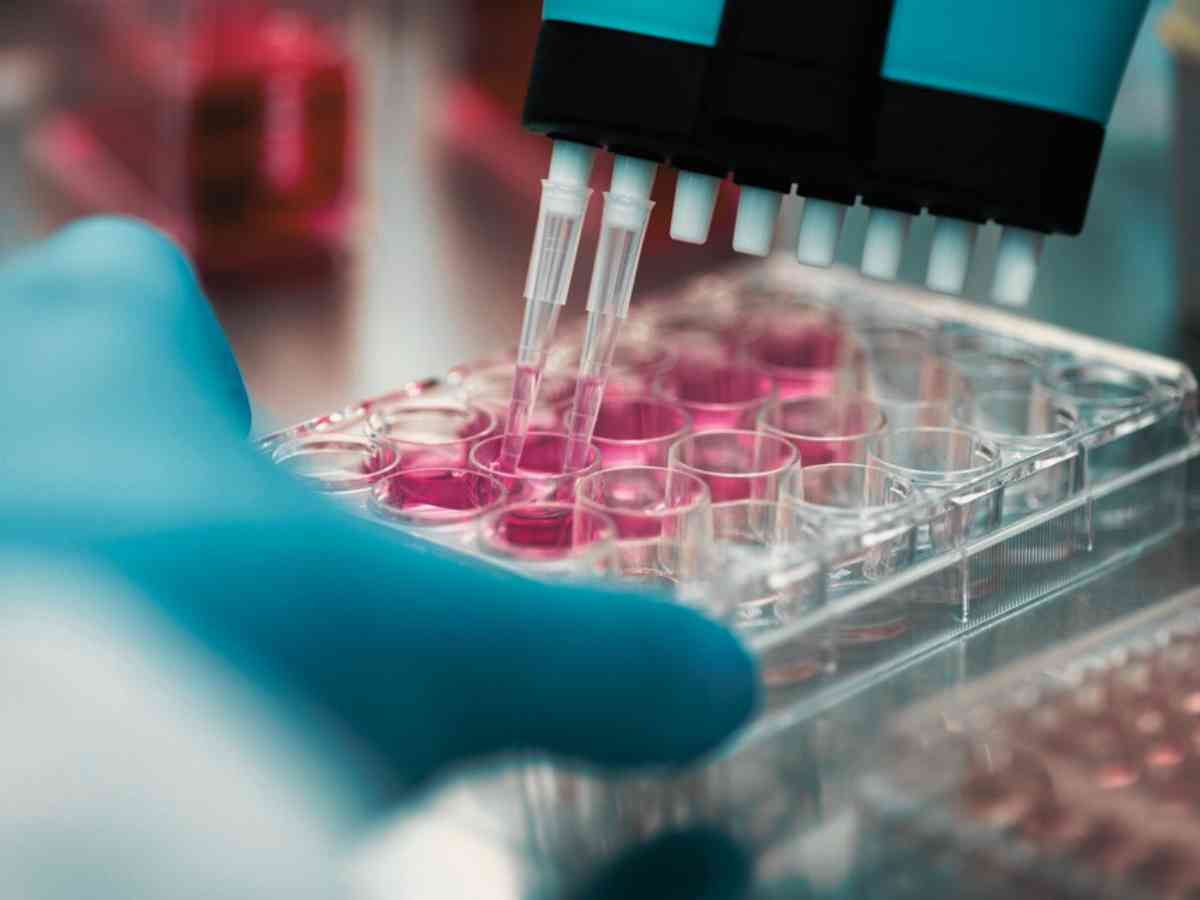 Genetic testing results | close up of researcher working with samples in a lab