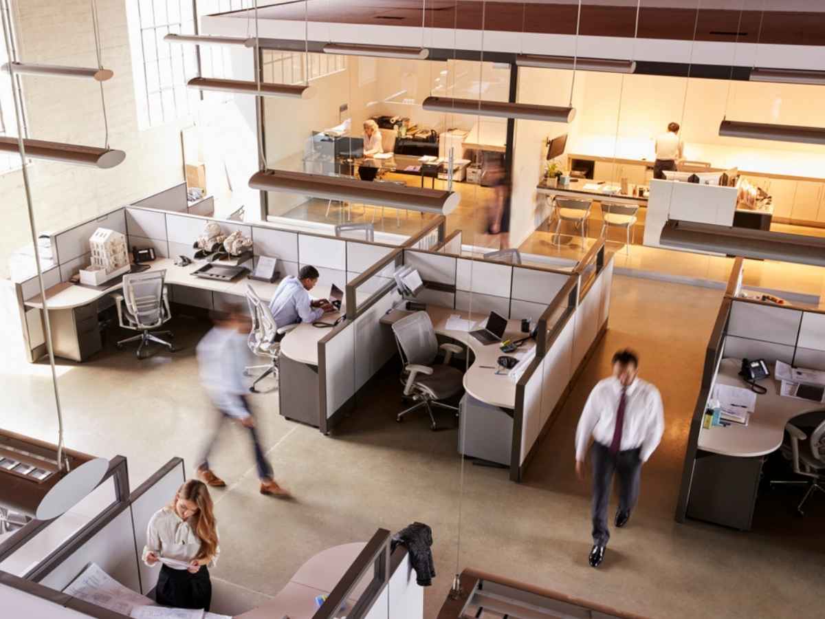 Office staff working in a modern open plan business office, representing Division 7A trust distributions and corporate beneficiaries